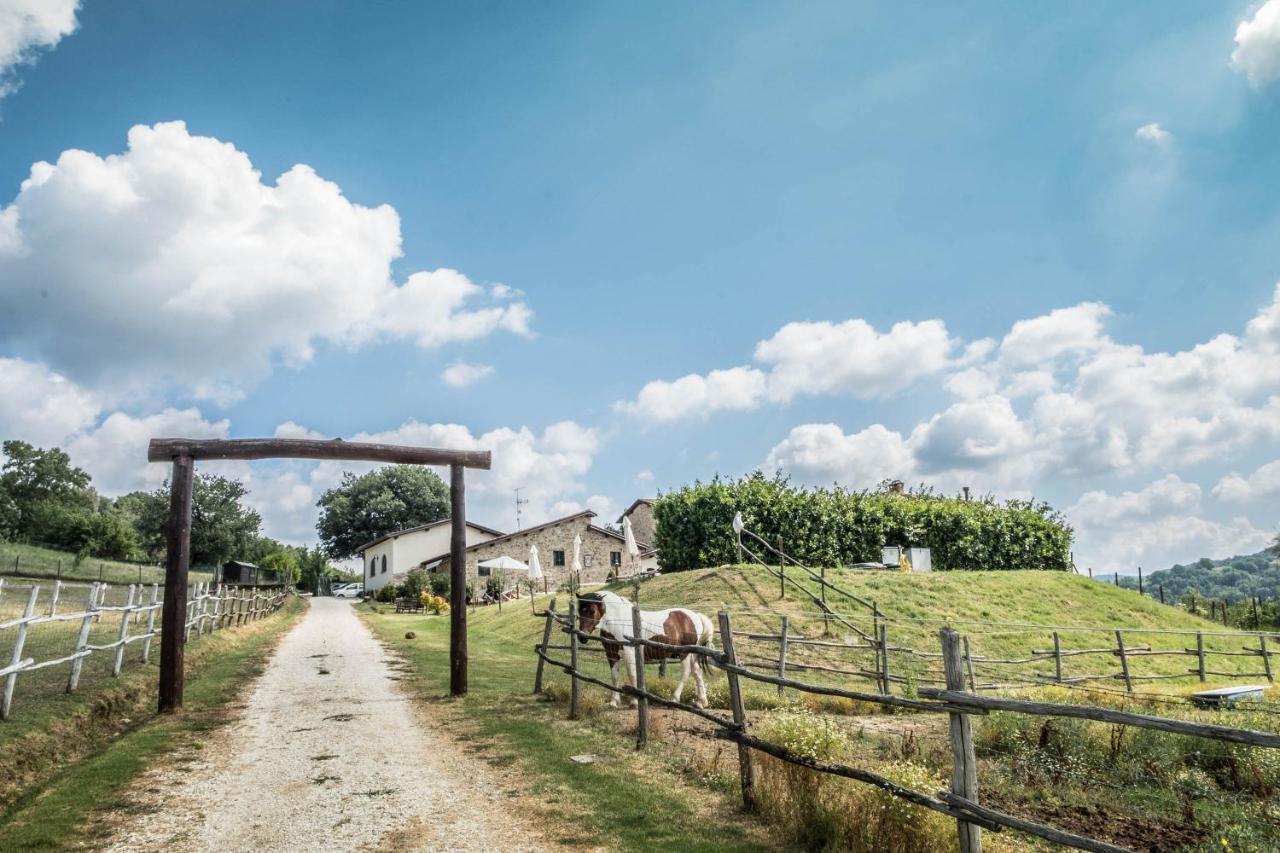 Agriturismo Goccia Di Luna Umbertide Extérieur photo